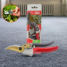 Pruners Scissor