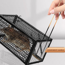 Live catch cage for mice and squirrels.