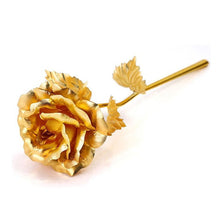 Golden rose for cafes and offices